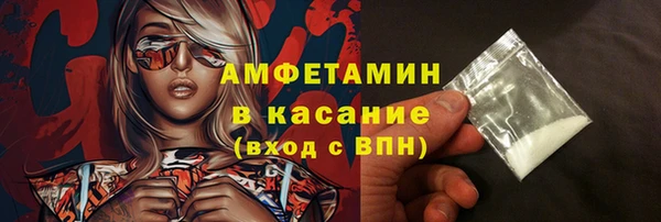 гидра Арсеньев