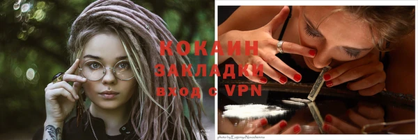 прущие грибы Аркадак