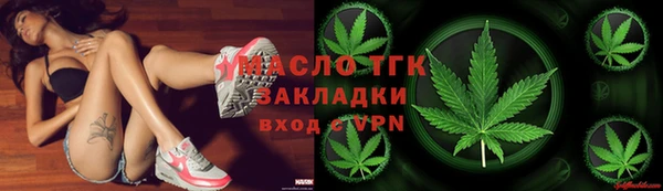 прущие грибы Аркадак