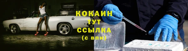 гидра Арсеньев