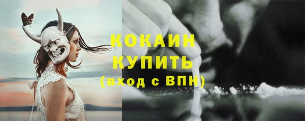 прущие грибы Аркадак
