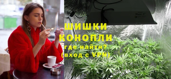 гидра Арсеньев