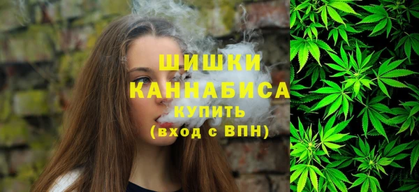 гидра Арсеньев
