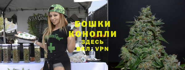 прущий лед Горняк