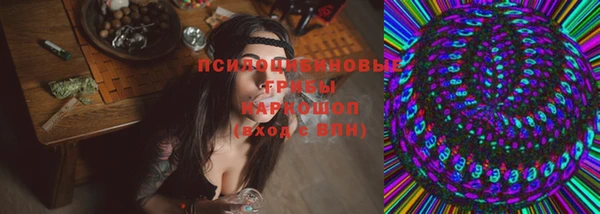прущие грибы Аркадак